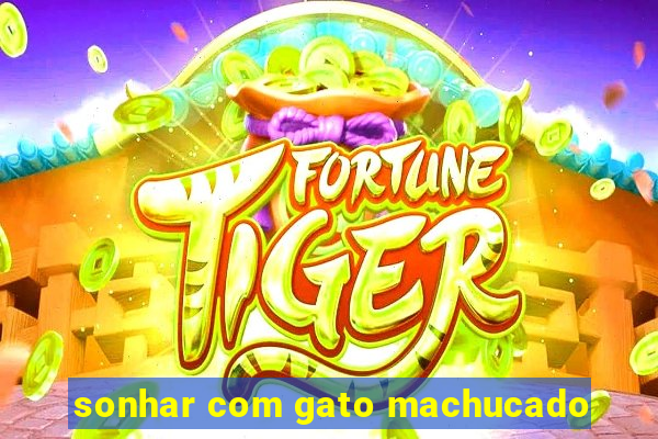 sonhar com gato machucado